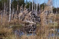 mobile_file_2022-06-15_07-14-08-2