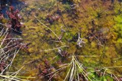 mobile_file_2022-06-15_07-14-08-5