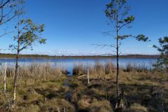 mobile_file_2022-06-15_07-14-08-7