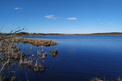 mobile_file_2022-06-15_07-14-08-8