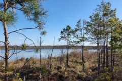 mobile_file_2022-06-15_07-14-08-9