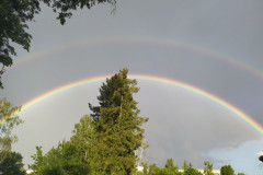 mobile_file_2022-06-15_07-19-01