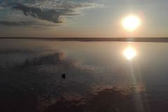 mobile_file_2022-06-15_07-20-19