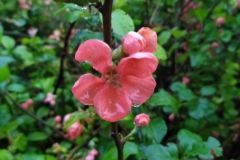 mobile_file_2022-06-15_07-24-06-1