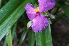 mobile_file_2022-06-15_07-24-06-2