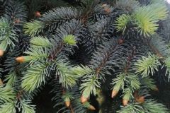 mobile_file_2022-06-15_07-24-06-4