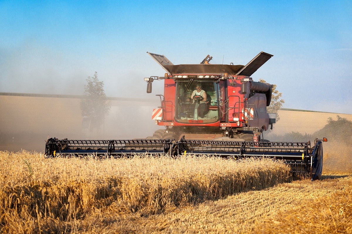 Экспорт сельхозпродукции Беларуси составил 5,4 млрд долларов