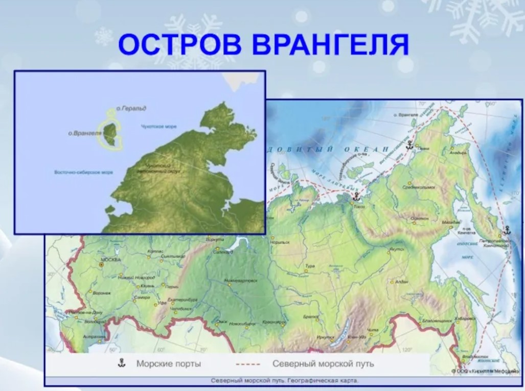 Российские острова на карте. Заповедник остров Врангеля на карте России. Карта России остров Врангеля на карте. Остров Врангеля расположение на карте. Остров Врангеля на карте Северного Ледовитого.