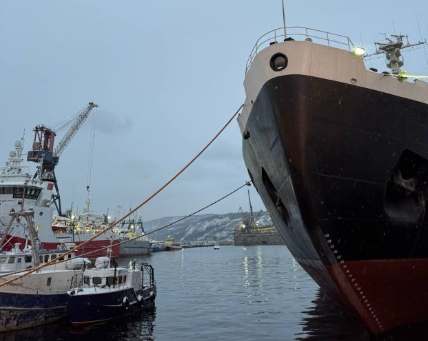 Северное сияние и ледяной Баренцево море: личный опыт поездки в Мурманск