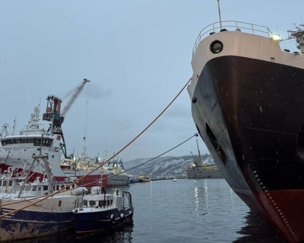 От Минска до Баренцева моря: как я провела отпуск на севере