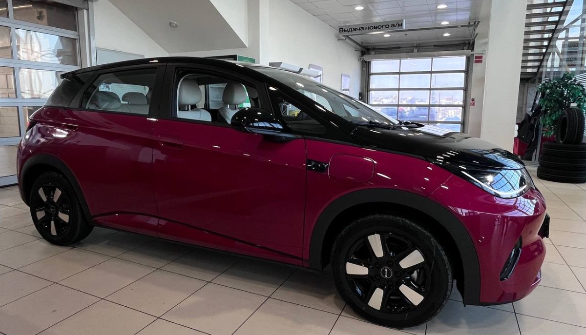 BYD Dolphin Fashion 410 BYD Dolphin Fashion 410