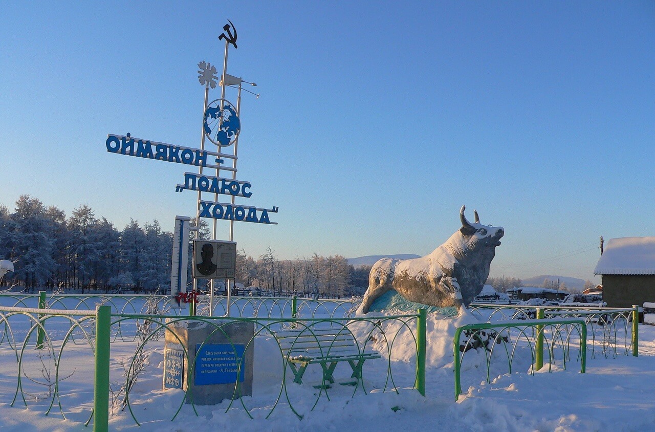Скульптура быка в Оймяконе