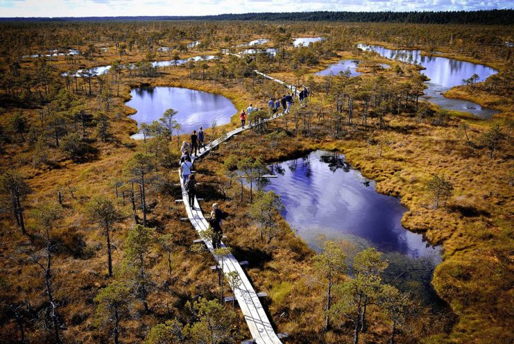 Топ-5 необычных мест Брестской области, которые стоит посетить