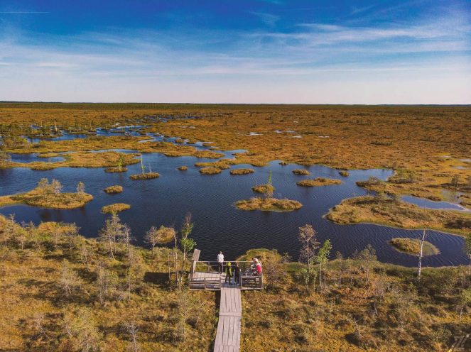 Освейское озеро и остров Ду – путешествие на край тишины
