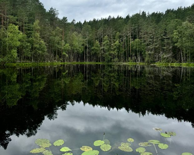 подземелья Глубокого – скрытая сторона города
