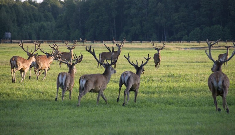 Топ-5 неочевидных мест Гомельской области: куда ехать, если вы уже были “везде”
