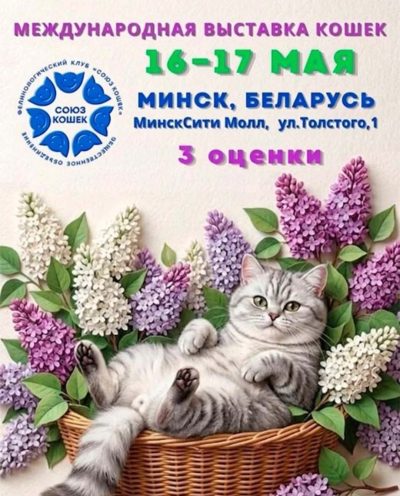 Выставка кошек